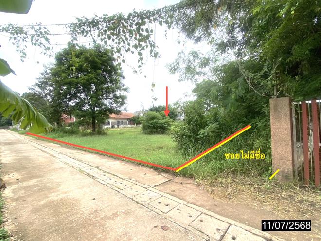 รูป ที่ดินว่างเปล่า สำหรับขาย - บึงกาฬ เมืองบึงกาฬ บึงกาฬ - รูปที่ 2/16