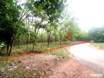 Land for sale Nong Bua Lam Phu : LAND for sale  Non Sa-at Si Bun Ruang Nong Bua Lam Phu