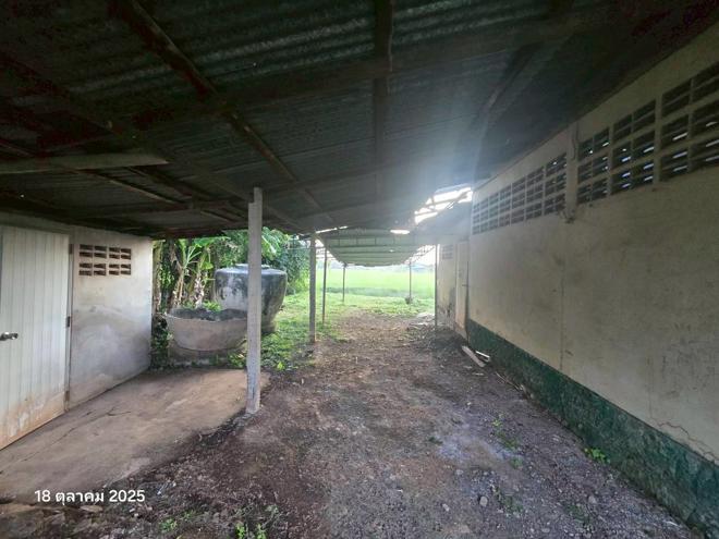 รูป บ้านเดี่ยว สำหรับขาย - หนองแซง หันคา ชัยนาท - รูปที่ 2/38