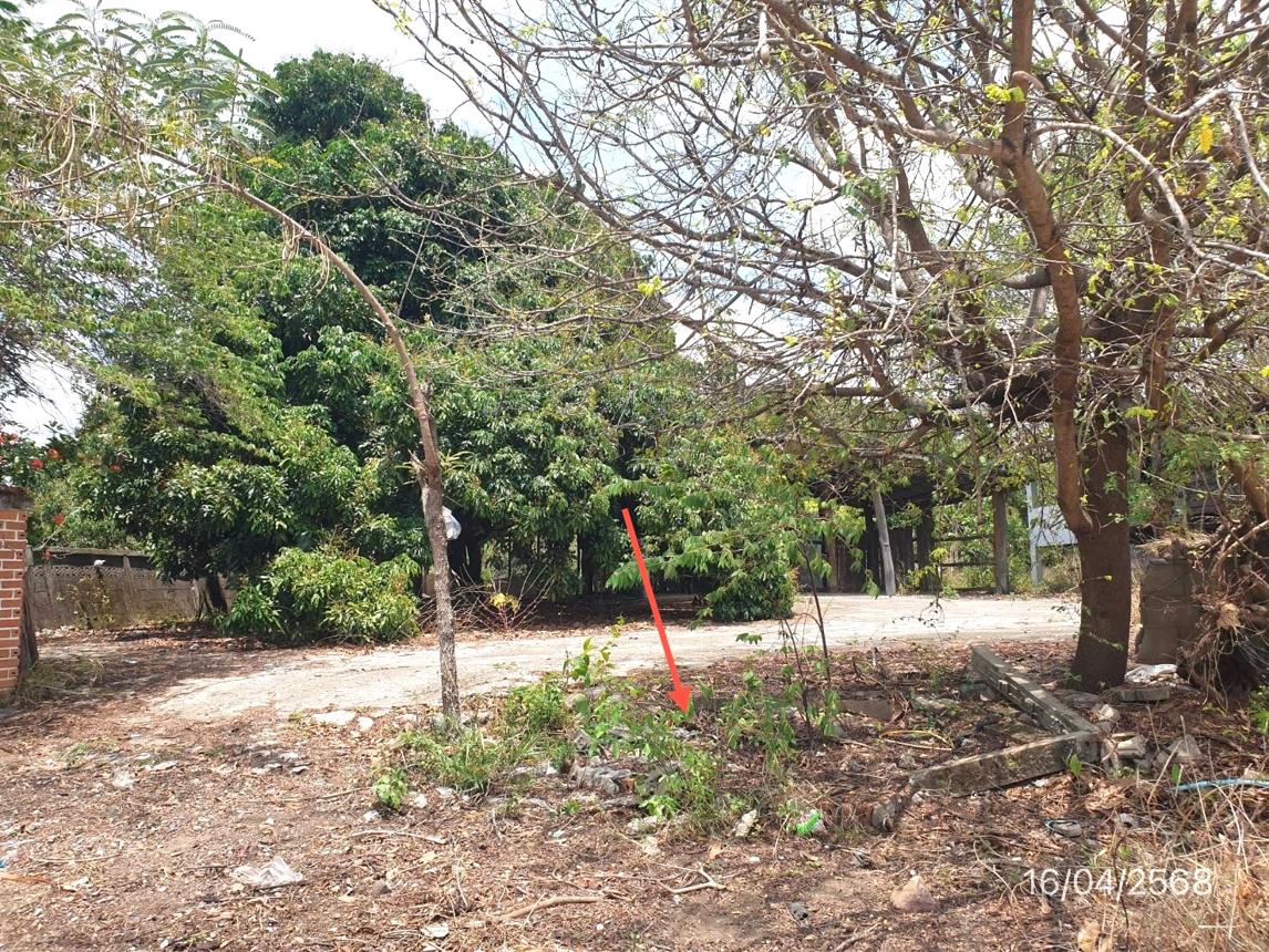 รูป บ้านเดี่ยว สำหรับขาย - แม่ลาน ลี้ ลำพูน - รูปที่ 35/40