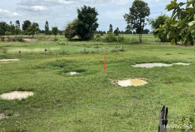 รูป ที่ดินว่างเปล่า สำหรับขาย - คำใหญ่ ห้วยเม็ก กาฬสินธุ์ - รูปที่ 5/24