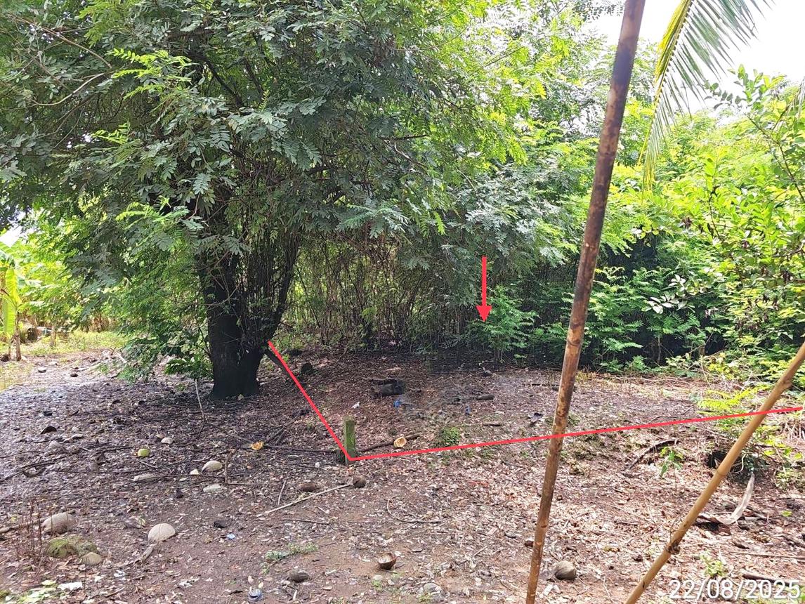 picture LAND for sale Noen Maprang Noen Maprang Phitsanulok - 13/20