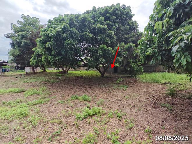 รูป บ้านเดี่ยว สำหรับขาย - บ้านตาล ฮอด เชียงใหม่ - รูปที่ 12/34