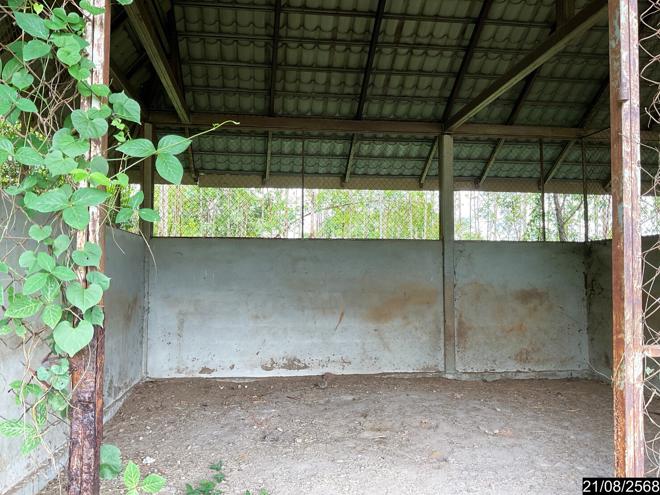 รูป โกดัง สำหรับขาย - หันนางาม ศรีบุญเรือง หนองบัวลำภู - รูปที่ 26/64