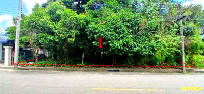 Land for sale Sungai Padi Narathiwat : LAND for sale  Paluru Sungai Padi Narathiwat