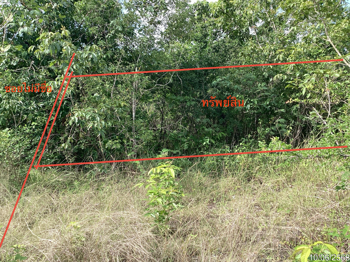 รูป ที่ดินว่างเปล่า สำหรับขาย - ควนรู รัตภูมิ สงขลา - รูปที่ 10/16