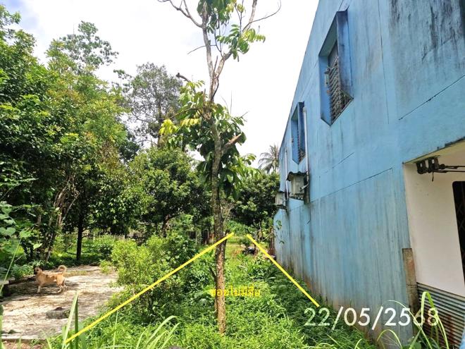 รูป ที่ดินว่างเปล่า สำหรับขาย - ย่านตาขาว ย่านตาขาว ตรัง - รูปที่ 2/14