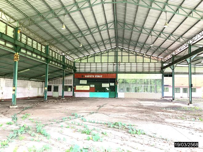 picture FACTORY for sale  Na Kratam Tha Sae Chumphon - 2/74