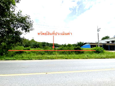 Land for sale Nakhon Sri Thammarat : LAND for sale  Ban Lamnao Bang Khan Nakhon Sri Thammarat