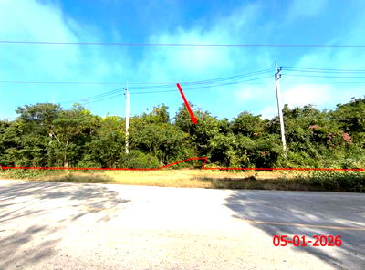 Land for sale Ko Kha Lamphang : LAND for sale  Wang Phrao Ko Kha Lamphang
