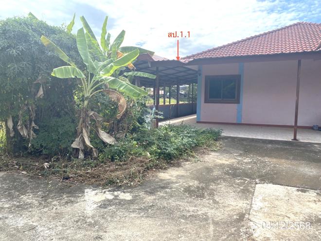 รูป บ้านเดี่ยว สำหรับขาย - สายนาวัง นาคู กาฬสินธุ์ - รูปที่ 11/46