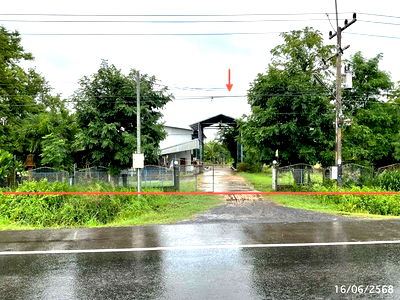 Factory for sale Ubon Ratchathani : FACTORY for sale  Phang Khen Na Tan Ubon Ratchathani