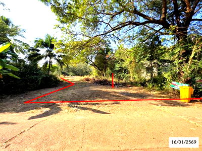 Land for sale Nakhon Phanom : LAND for sale  Na Wa Na Wa Nakhon Phanom