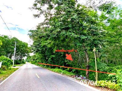 Land for sale Nakhon Sri Thammarat : LAND for sale  Khao Ro Thung Song Nakhon Sri Thammarat