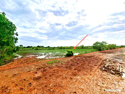 Land for sale Si Songkhram Nakhon Phanom : LAND for sale  Ban Ka Si Songkhram Nakhon Phanom