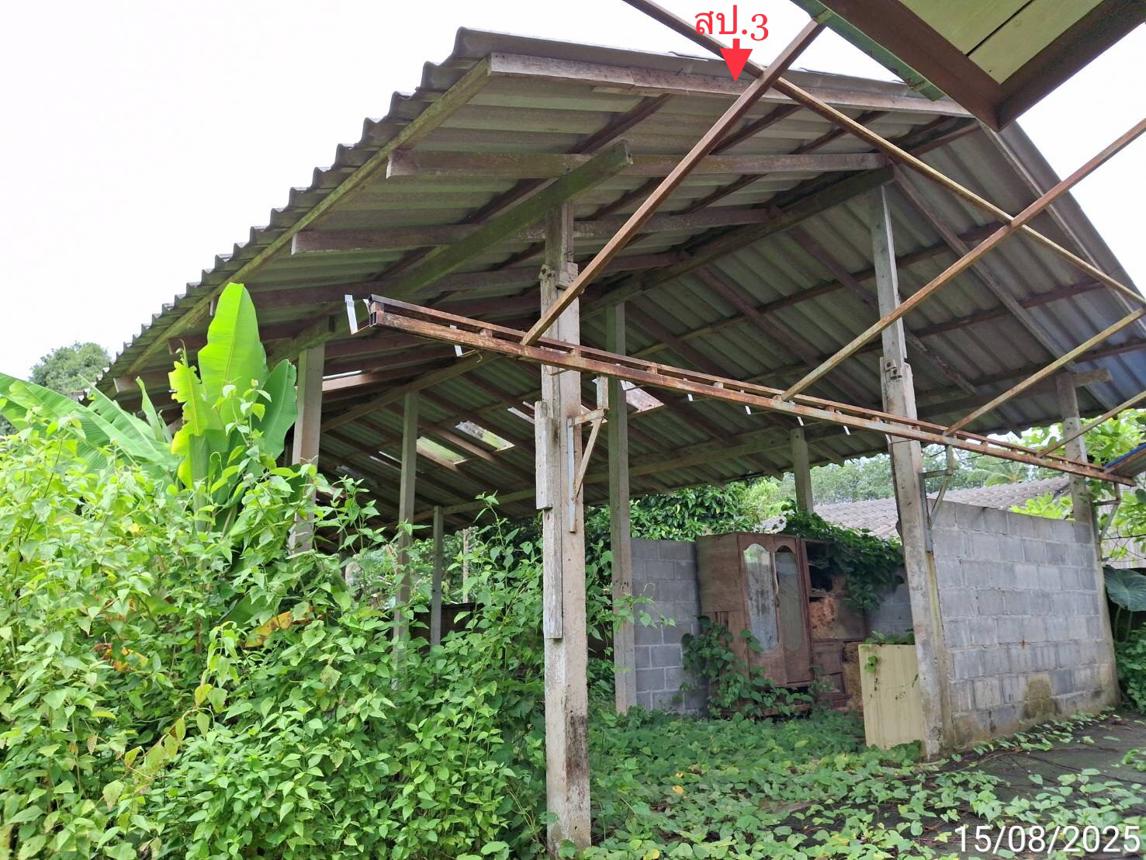 รูป บ้านเดี่ยว สำหรับขาย - นาหมื่นศรี นาโยง ตรัง - รูปที่ 59/72