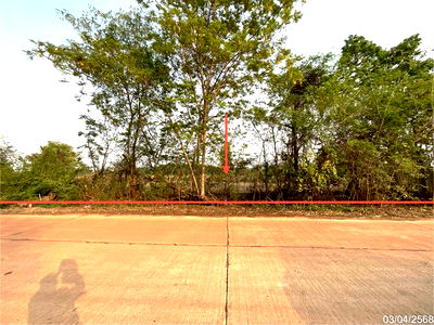 Land for sale Muang Udon Thani Udon Thani : LAND for sale  Kut Sra Muang Udon Thani Udon Thani