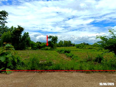 Land for sale Kut Chap Udon Thani : LAND for sale  Muang Fia Kut Chap Udon Thani