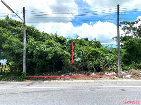 รูป ที่ดินว่างเปล่า สำหรับขาย - พะตง หาดใหญ่ สงขลา - รูปที่ 15/18