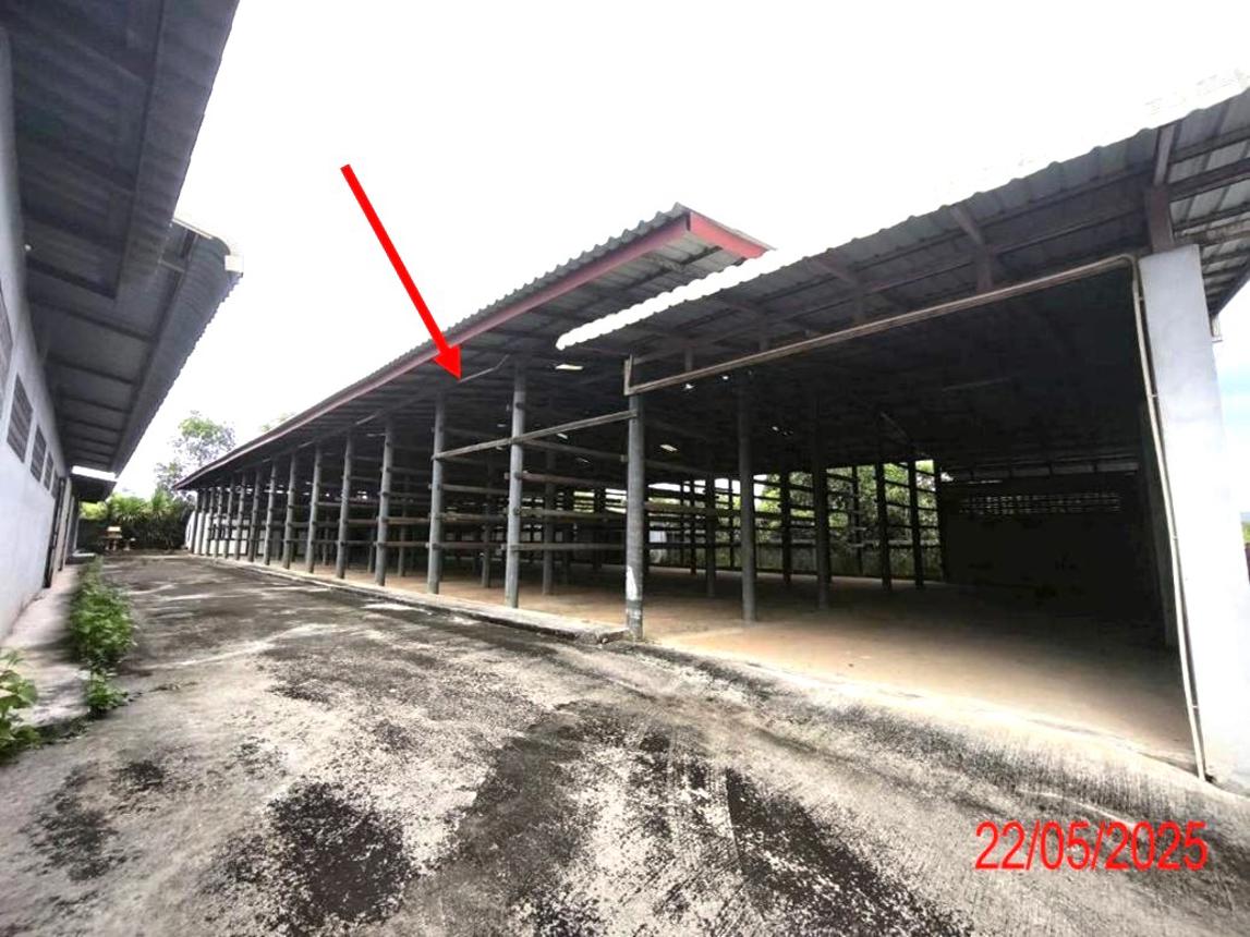 รูป โกดัง สำหรับขาย - เหล่ายาว บ้านโฮ่ง ลำพูน - รูปที่ 31/44