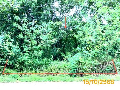 Land for sale Lam Thap Krabi : LAND for sale  Lam Thap Lam Thap Krabi