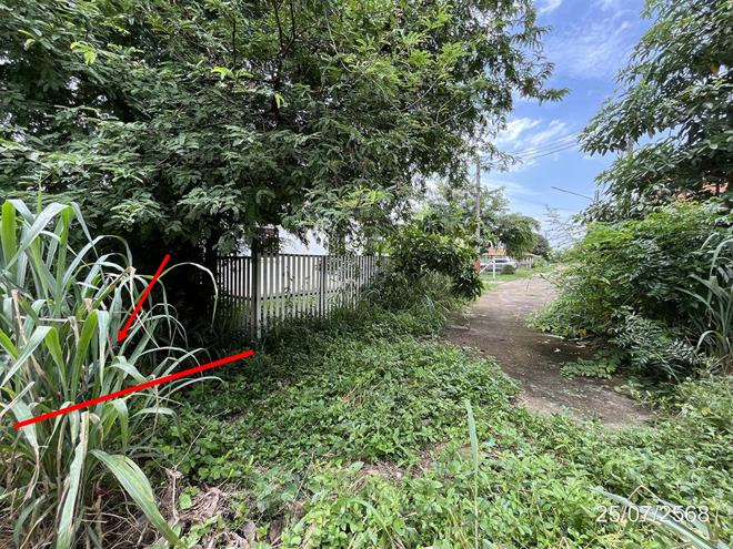 picture LAND for sale  Kabin Kabin Buri Prachinburi - 2/14