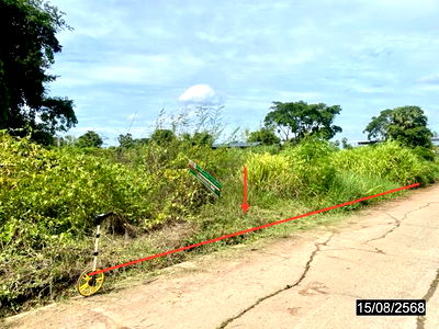 ที่ดิน เมืองขอนแก่น ขอนแก่น : ที่ดินว่างเปล่า สำหรับขาย - เมืองเก่า เมืองขอนแก่น ขอนแก่น