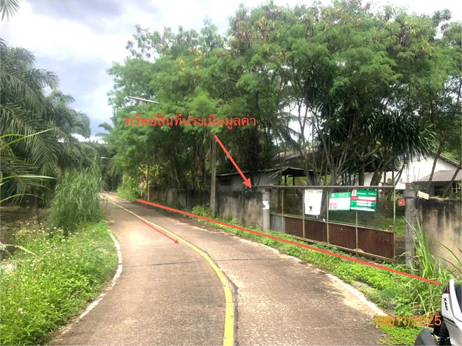 รูป บ้านเดี่ยว สำหรับขาย - มะขามเตี้ย เมืองสุราษฎร์ธานี สุราษฎร์ธานี - รูปที่ 2/42