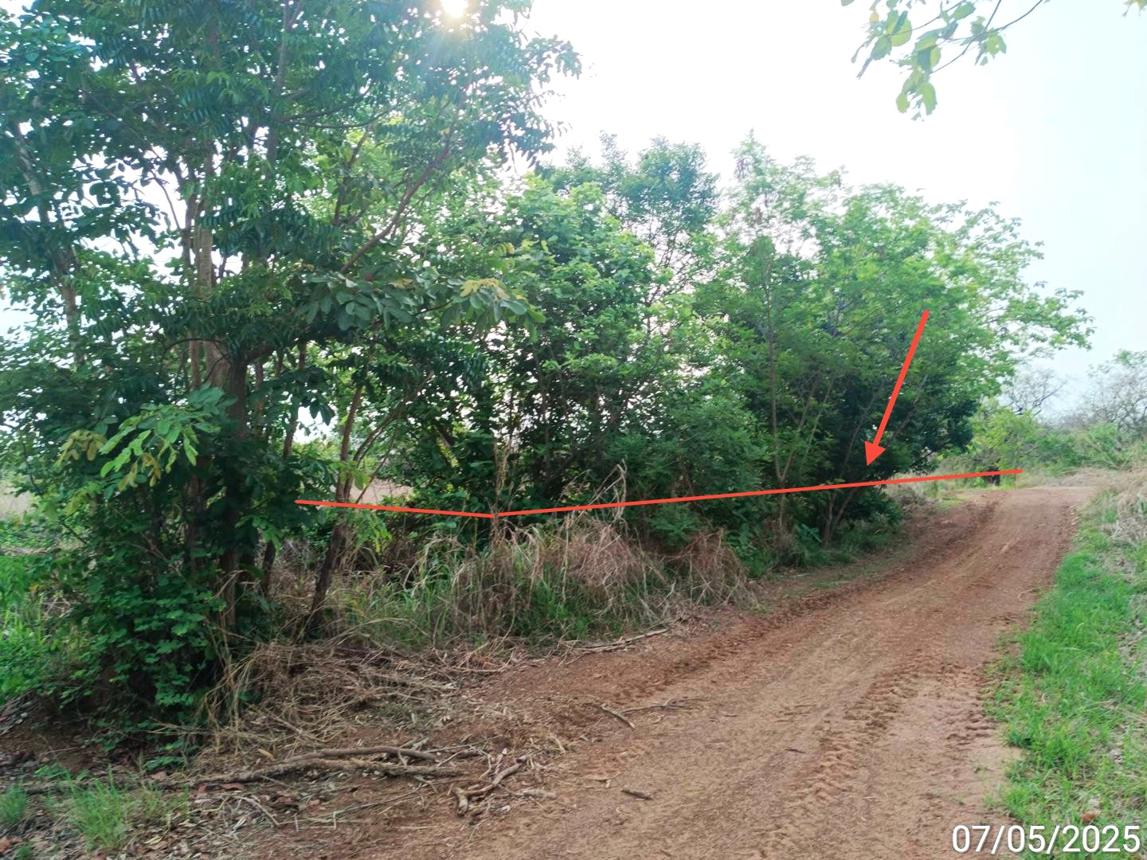 picture LAND for sale  Dong Khui Chon Daen Phetchabun - 9/18