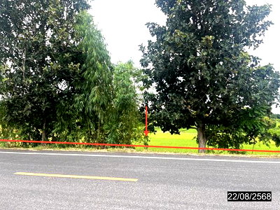 LAND 4242 Sq.w. Yang Si Surat Maha Sarakham for 3.7M