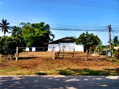 Houses for sale Chiang Kham Phayao : FOR SALE  HOUSE PROPERTY  650000 BAHT.