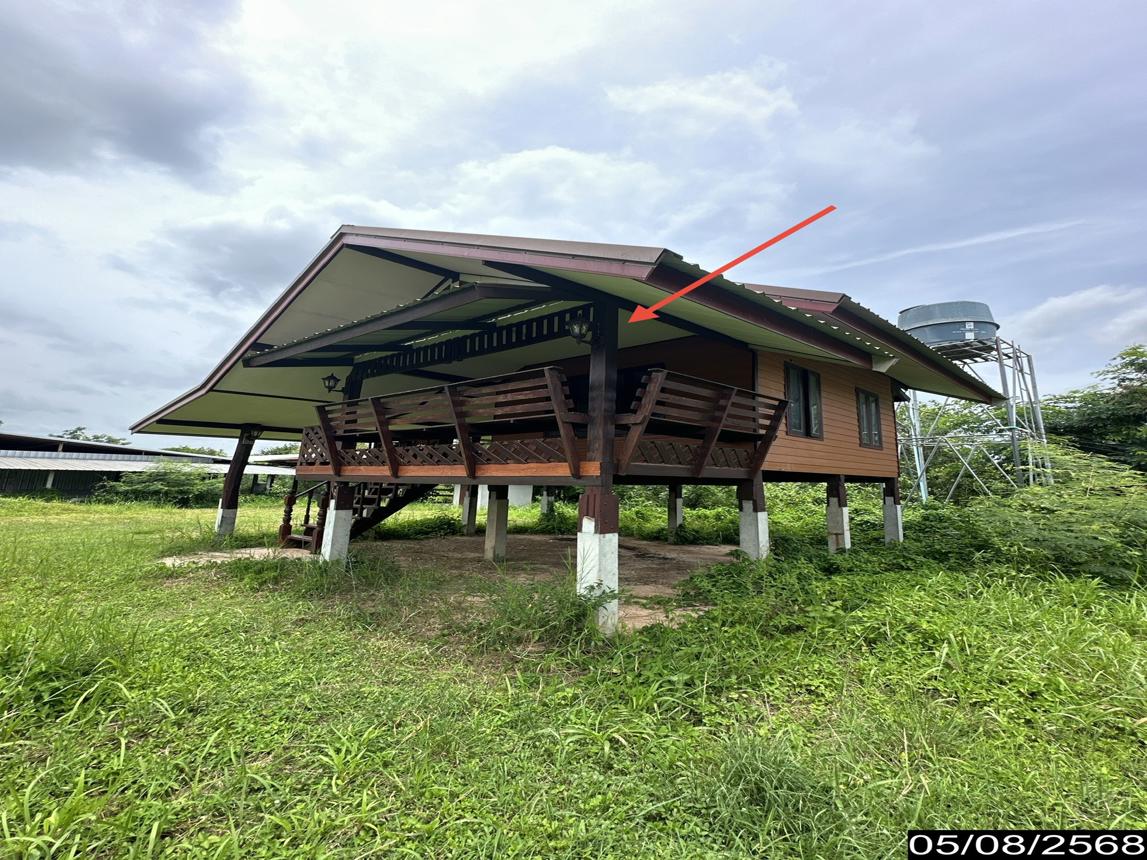 รูป โกดัง สำหรับขาย - นาแต้ เมืองอำนาจเจริญ อำนาจเจริญ - รูปที่ 34/48