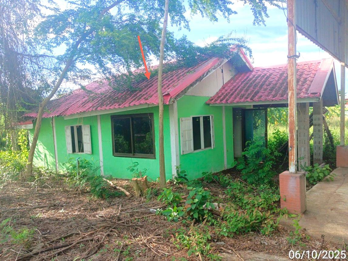 รูป บ้านเดี่ยว สำหรับขาย - ท่าโรง วิเชียรบุรี เพชรบูรณ์ - รูปที่ 43/54