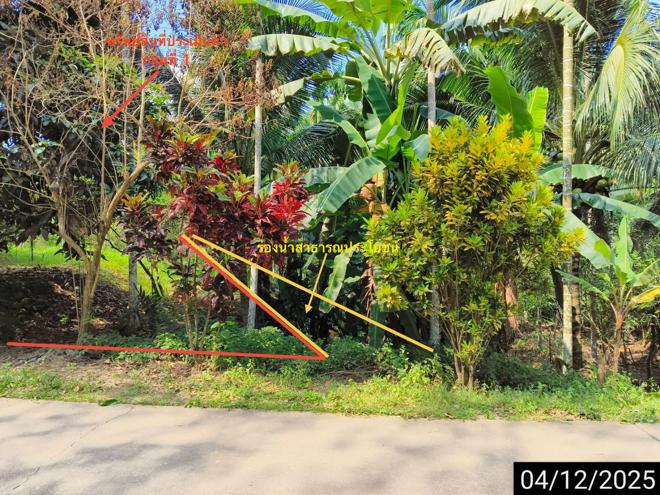 รูป ที่ดินว่างเปล่า สำหรับขาย - คลองศก พนม สุราษฎร์ธานี - รูปที่ 3/30