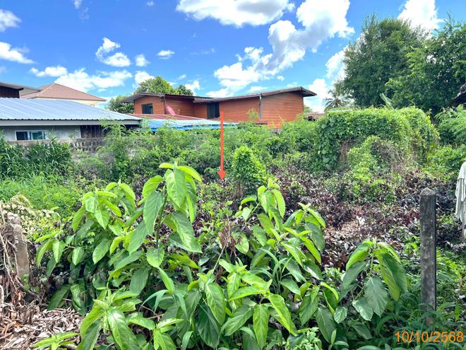 picture LAND for sale  Saen Suk Warin Chamrap Ubon Ratchathani - 3/22