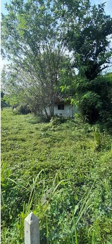 picture FOR SALE  LAND PROPERTY  829000 BAHT. - 2/8