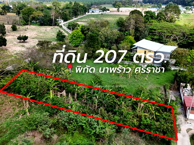 ที่ดิน ม.เกษตรศาสตร์ ศรีราชา : ขายที่ดิน 207 ตรว. ทำเลดีติดถนน 2 ด้าน ใกล้ 7-11 นาพร้าว ศรีราชา