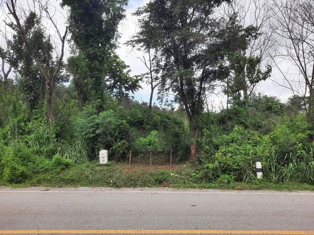picture FOR SALE  LAND PROPERTY  370000 BAHT. - 7/8