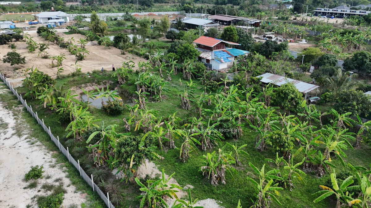 รูป ขายที่ดิน 3 ไร่ ทำเลดี นาพร้าว ศรีราชา - รูปที่ 15/16