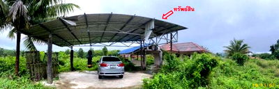 ที่ดิน พัทลุง : K01971 ขายที่ดินพร้อมสิ่งปลูกสร้าง ตำบลแม่ขรี อำเภอตะโหมด พัทลุง