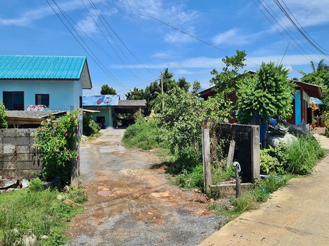 รูป F1-0609 ขายบ้านเดี่ยว บางระกำ-อภิรมย์ ต. บางระกำ อ.บางเลน จ.นครปฐม - รูปที่ 2/8