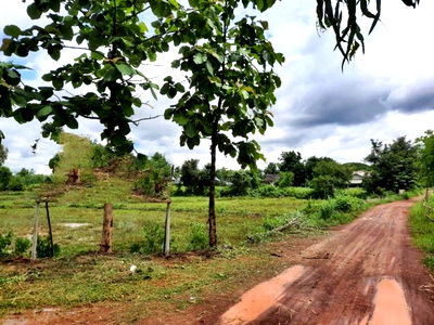 ที่ดิน โซ่พิสัย บึงกาฬ : F6-0477 ขายที่ดินเปล่า โซ่พิสัย-โพนพิสัย ต. โซ่ อ.โซ่พิสัย จ.บึงกาฬ