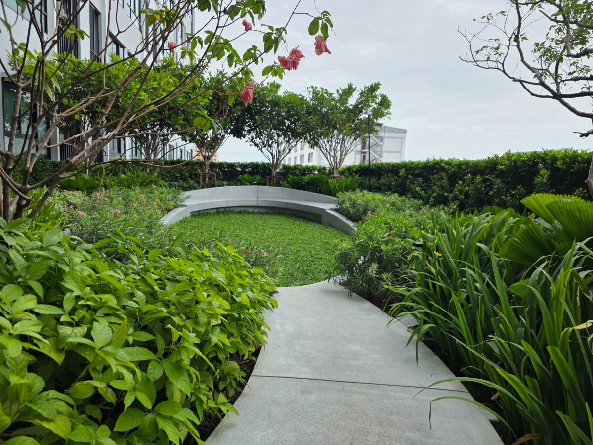 รูป 💥Ideo Ramkhamhaeng – Lam Sali Station | 1 Bed ใหญ่ 31 ตร.ม. 💥 แต่งครบ หิ้วกระเป๋าเข้าอยู่ได้เลย เพียง 14,000 บ. - รูปที่ 16/19