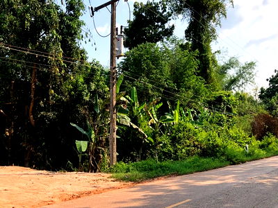 ที่ดิน นาทม นครพนม : F8-0621 ขายที่ดินเปล่า หมูม้น-ศรีสงคราม ต. ดอนเตย อ.นาทม จ.นครพนม