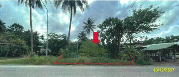 รูป K01149 ขายที่ดินเปล่า ตำบลโคกม่วง อำเภอเขาชัยสน พัทลุง - รูปที่ 2/8