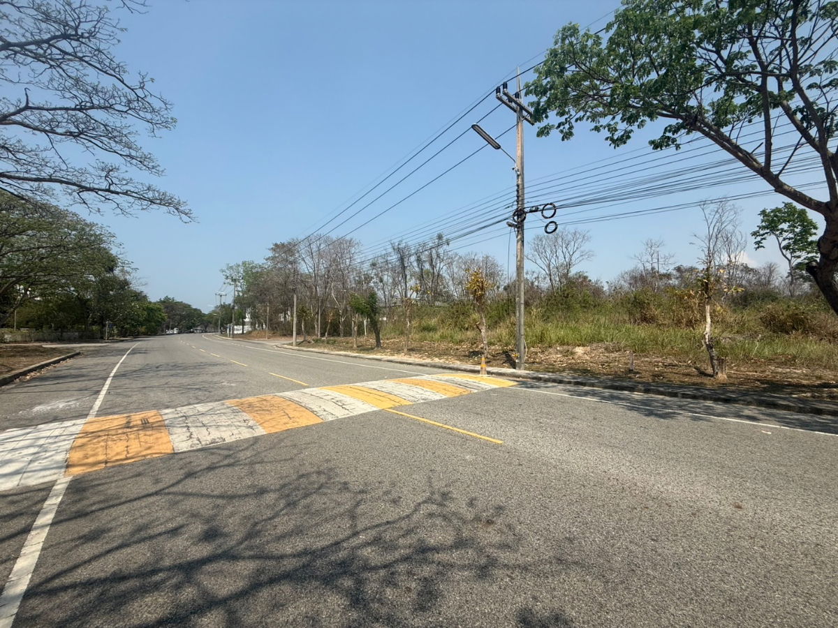 รูป ขายที่ดินโครงการปัญญา รีสอร์ท ศรีราชา 551 ตรว. ติดถนน 2 ด้าน วาละ 20,000 เท่านั้น! แปลงใหญ่ หายาก ทำรีสอร์ท/พูลวิลล่า/บ้านหรูได้สบาย ๆ 🌿✨** - รูปที่ 4/8