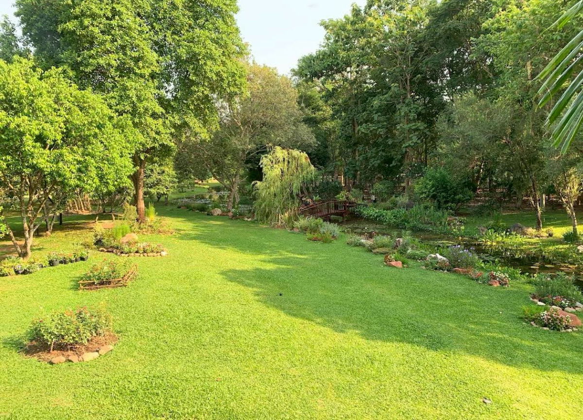 รูป บ้านไม้สักพร้อมสวน พื้นที่ 20 ไร่ 2 งาน 59 ตร.ว. อ.แก่งคอย จ.สระบุรี สวย ราคาต่อรองได้ - รูปที่ 10/10