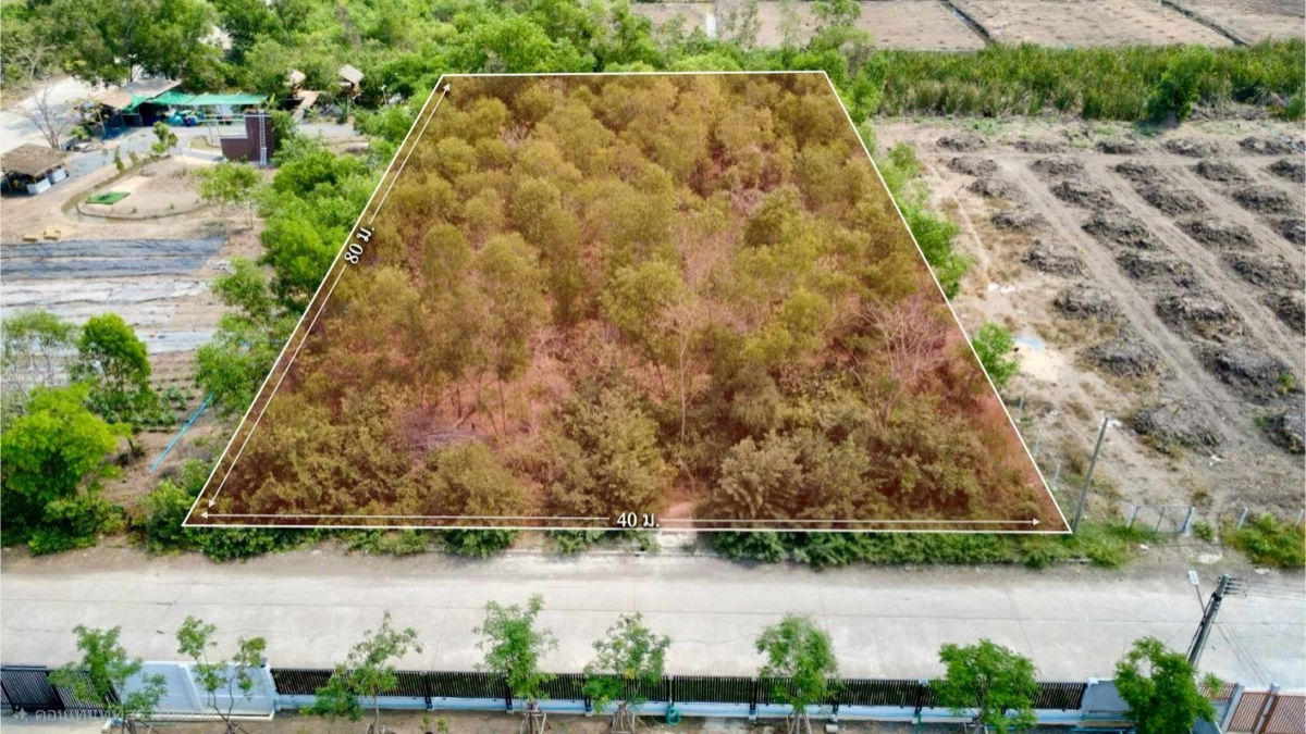 รูป ขายด่วนที่ดิน 2 ไร่ ถมแล้ว คลอง 2 คลองหลวง จ.ปทุมธานี | ใกล้ตลาดไท – วัดพระธรรมกาย - รูปที่ 4/10