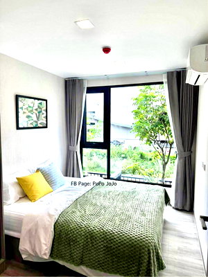 Condos for rent Star Market Rayong  : Atmoz Canvas Rayong 065-224-5541 (	Near Central Rayong)