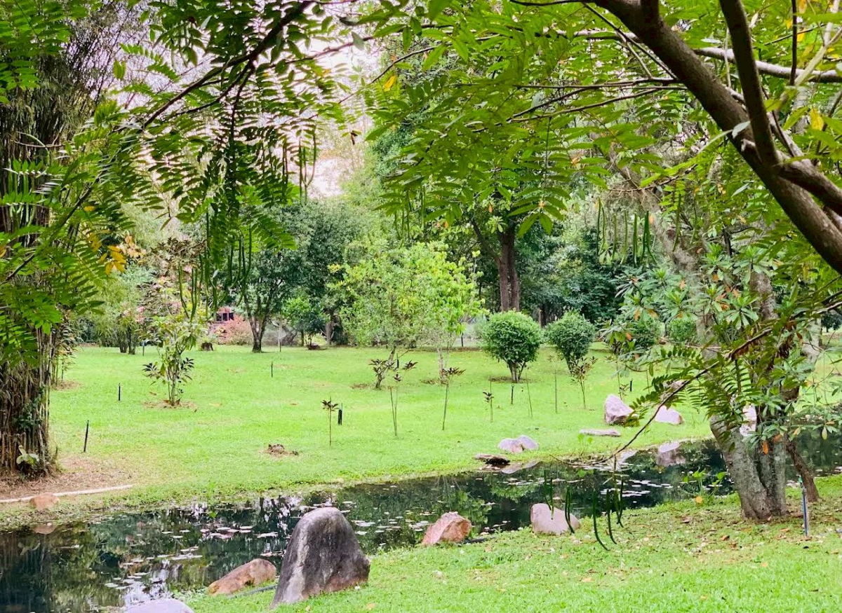 รูป บ้านไม้สักพร้อมสวน พื้นที่ 20 ไร่ 2 งาน 59 ตร.ว. อ.แก่งคอย จ.สระบุรี สวย ราคาต่อรองได้ - รูปที่ 9/10